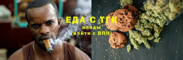 индика Богородск