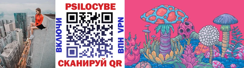 Псилоцибиновые грибы Cubensis  Ипатово 